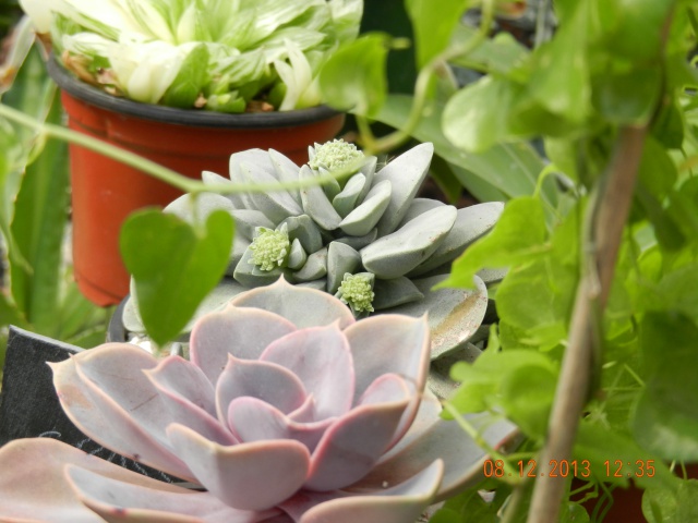 BurnRecovery Help 8.jpg