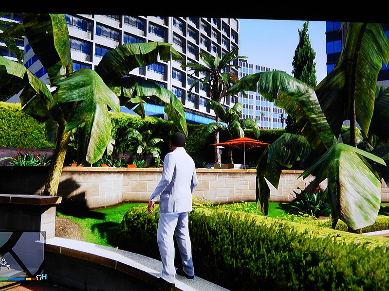 ensete.JPG