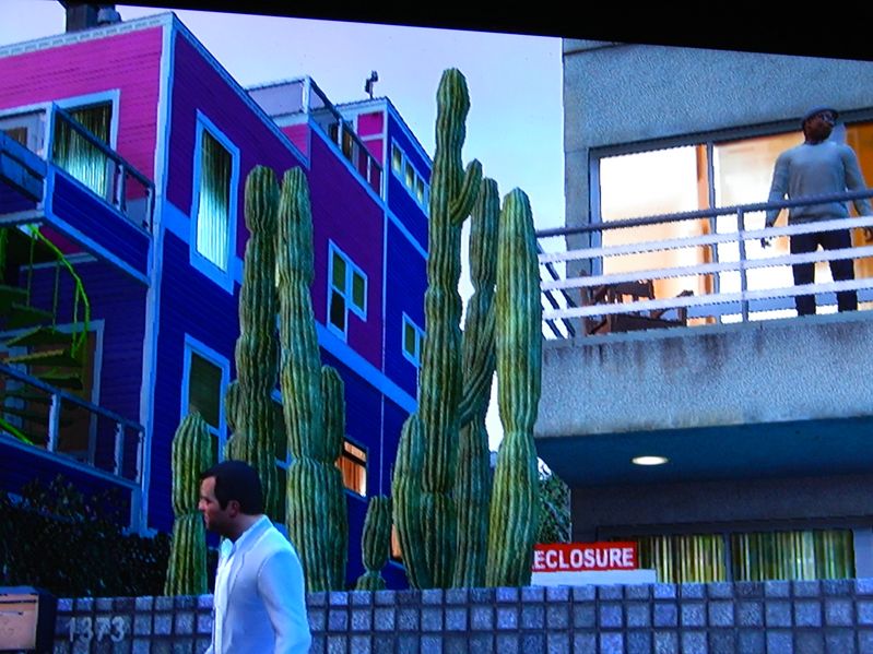 cereus.JPG
