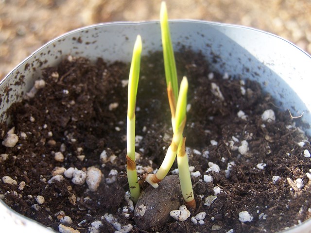 100_5743 (Copier).JPG