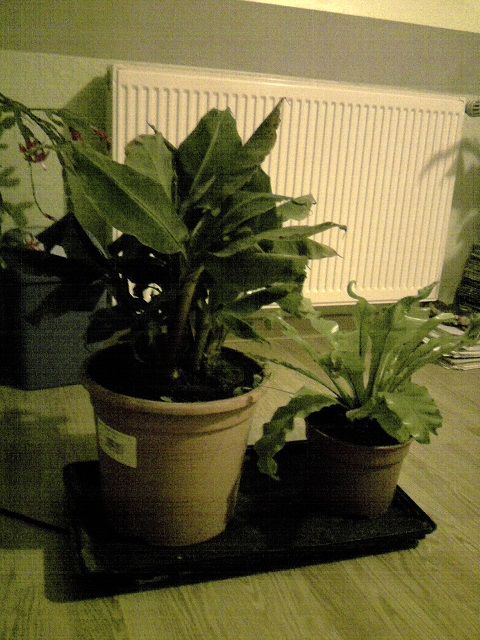 P301213_19.56.jpg