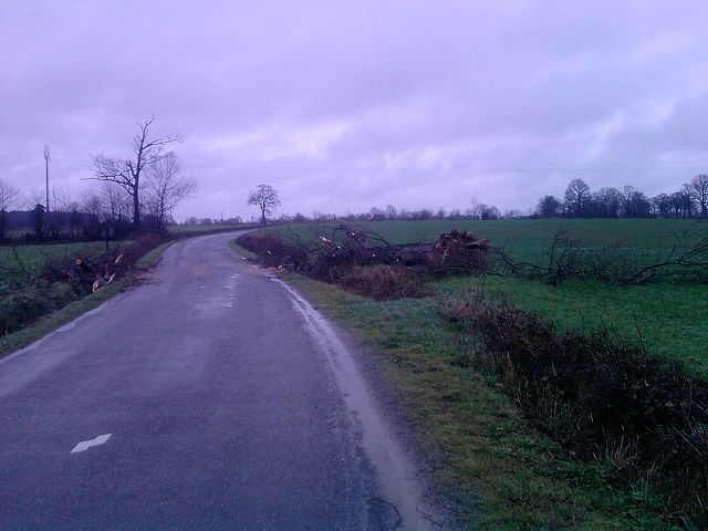 P241213_12.47.jpg
