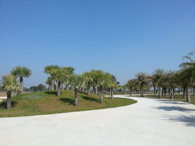 20140102_125526.jpg