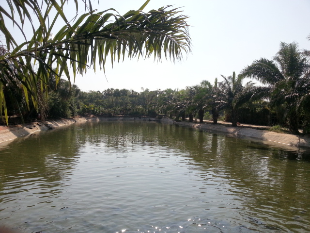 20140102_141402.jpg