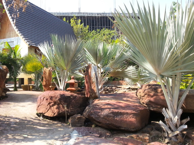 20140102_133448.jpg