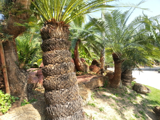 20140102_132503.jpg