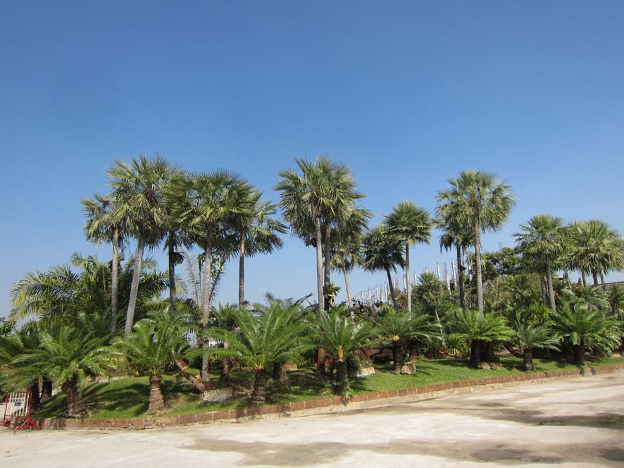 copy15.jpg