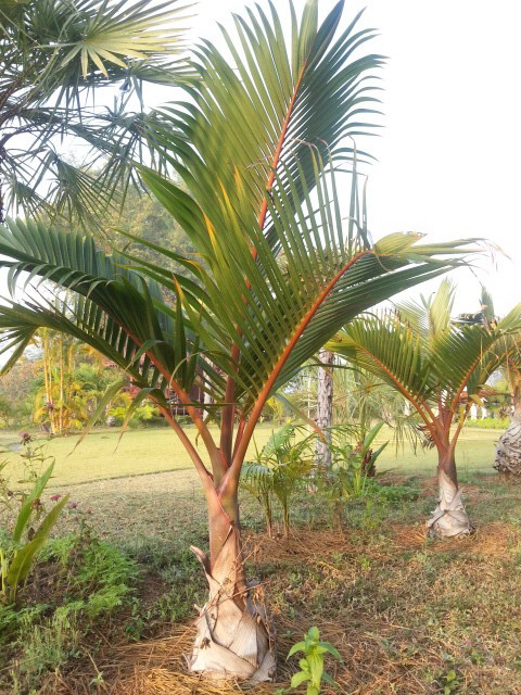 20140104_072413.jpg