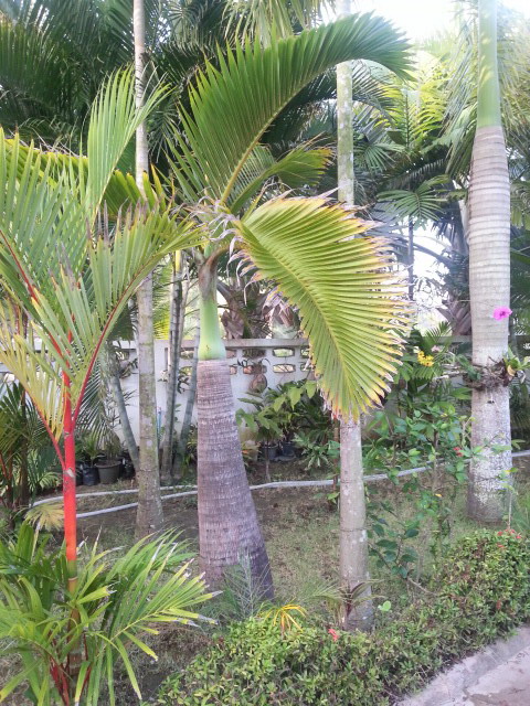 20140104_072652.jpg