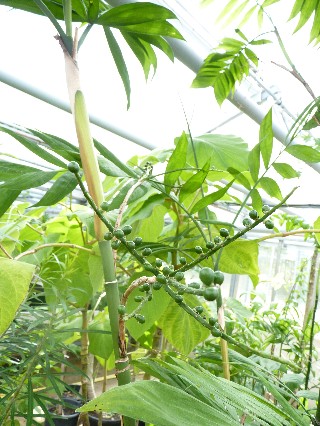 Web C sp 25.jpg