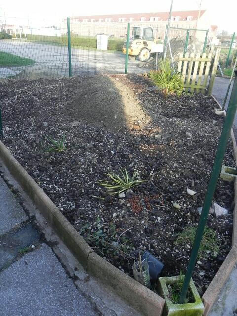 Le jardinet devant la maison