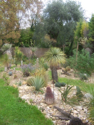 opio avril 2010 089.jpg