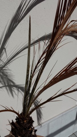 20140121_115320-1.jpg