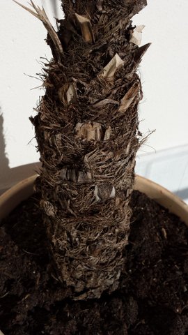 20140121_115323-1.jpg