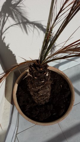 20140121_115335-1.jpg