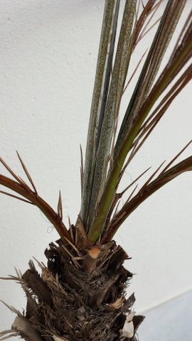 20140122_110217_Richtone(HDR).jpg