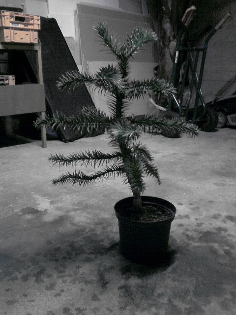 P260114_14.16.jpg