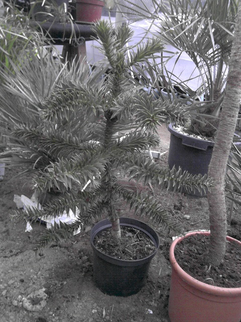 P290114_17.31.jpg