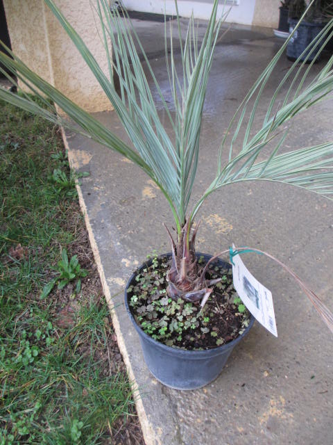 Janvier 2014 003.jpg