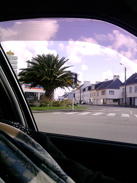 voici un beau Phoenix en passent à Lorient