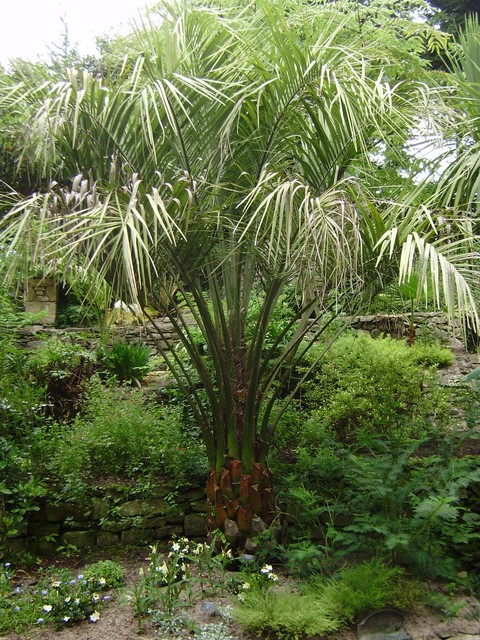 P7100108 [480_640].JPG