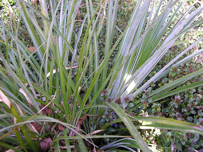 19 février 2014 (4).JPG