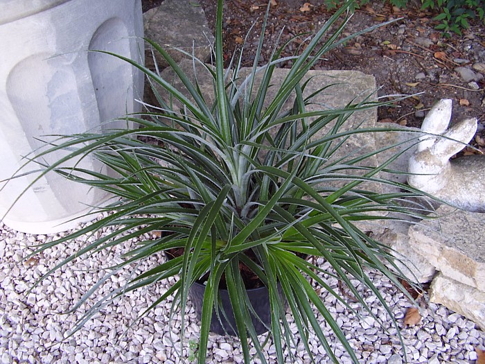 002.01 novembre 2009.JPG