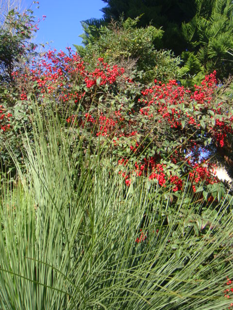 DSC03591.JPG