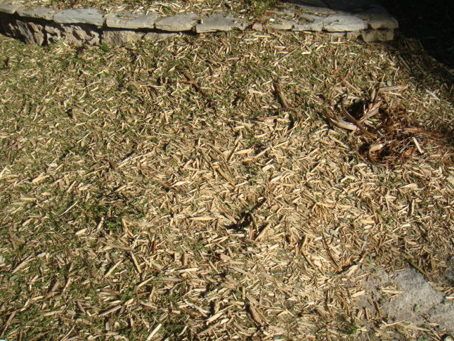 DSC03598.JPG