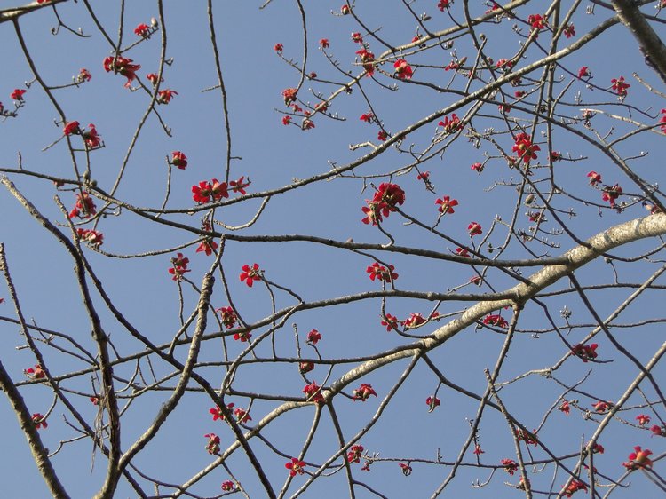 couleurs_02.jpg