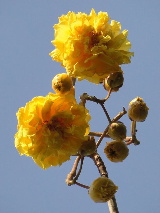 couleurs_07.jpg