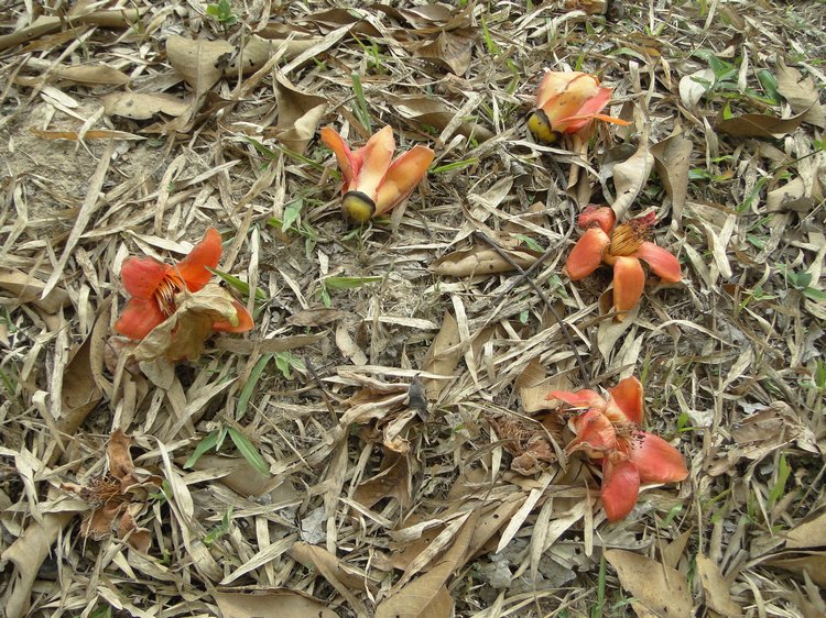 couleurs_09.jpg