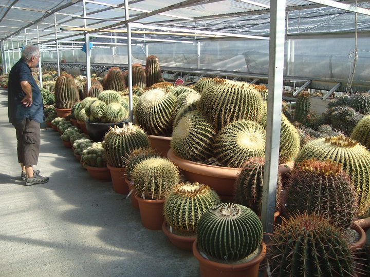 008 - Copie.JPG
