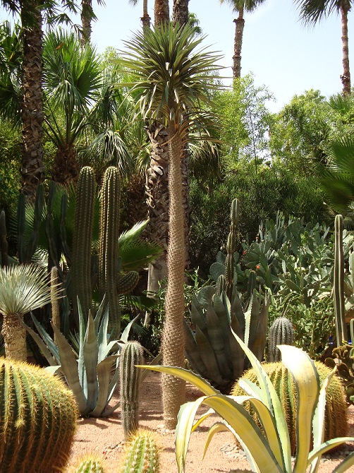 C'est PAS mon jardin!!!