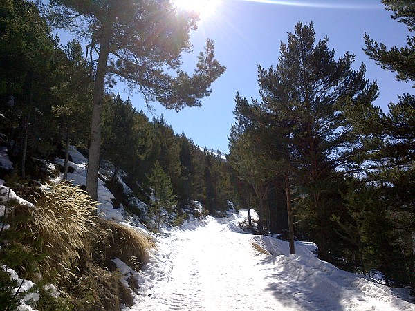 6-maur-12mars14.jpg