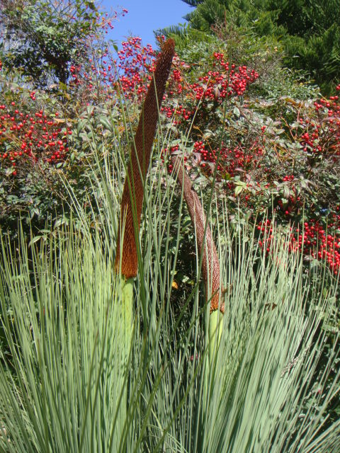 DSC03640.JPG