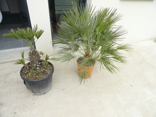 DSC03615 [640x480].JPG