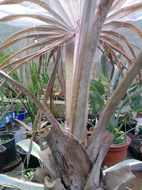 P180314_12.11_[02].jpg