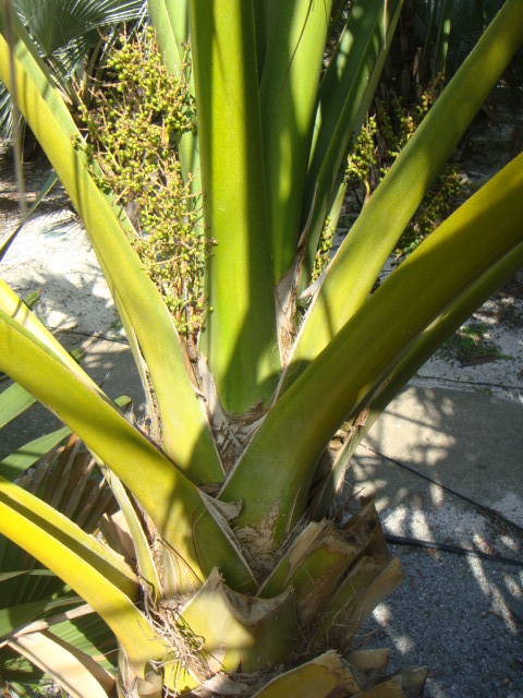 DSC03658.JPG