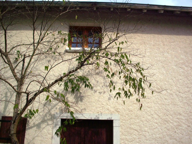 HPIM1695.JPG