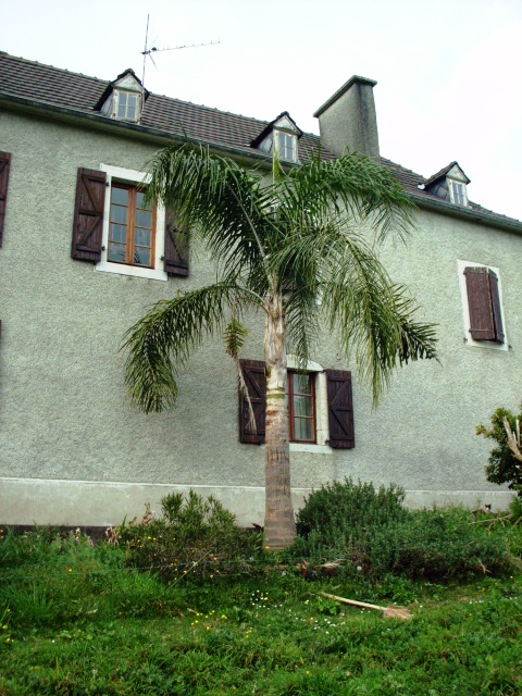 HPIM1707.JPG