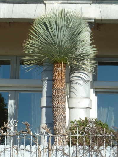 P1200870b.JPG