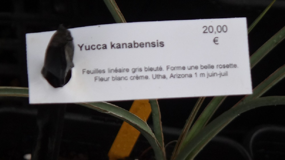 Etiquette correspondante