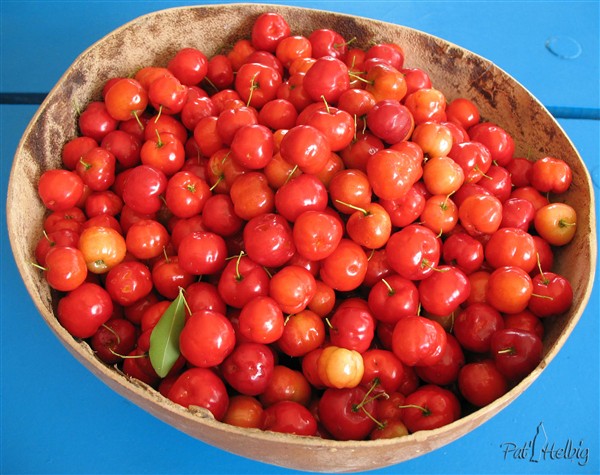 Cerise pays, le plein de vitamines C! 500mg pour 100g.jpg