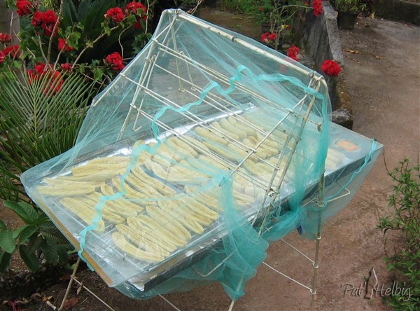 1 Le séchage des bananes - un sèche linge+une porte de frigo+des grilles de frigo+du papier alu+un carreau de voiture+un morceau de moustiquaire!.jpg