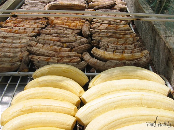 2 Le séchage des bananes seulement en saison sèche!!.jpg