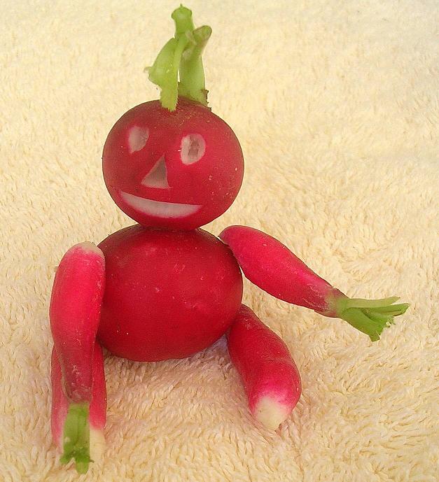 bonhomme_radis_sans_arbre.jpg