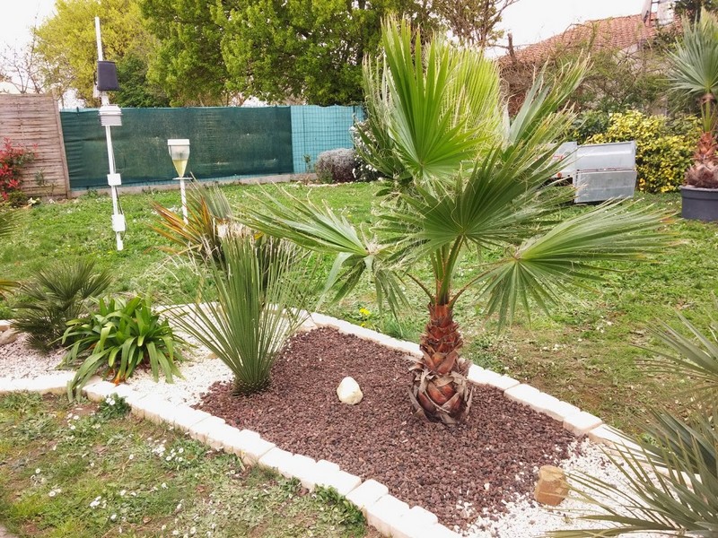 nouveau wash 30 mars 2014.jpg