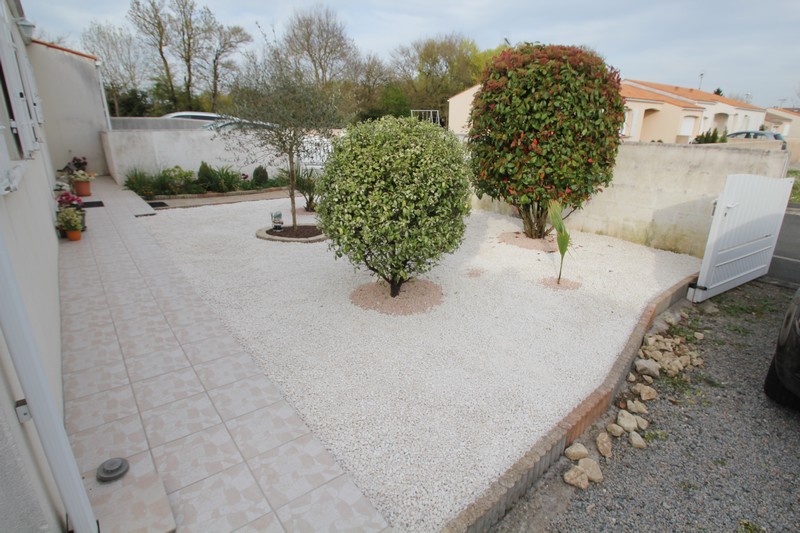 Le jardin de devant avec le petit filifera, l'armata, l'olivier et le jubaea