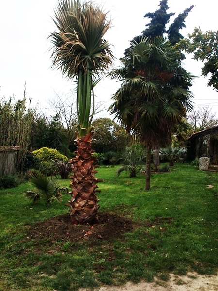 DSC_0164.JPG